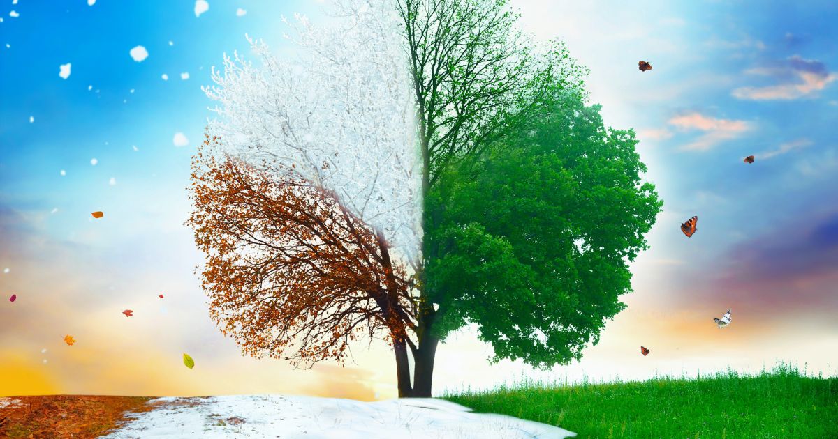 The Unexpected Journey of Chronic Illness Remission: A Spouse’s Perspective